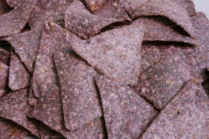 Blue corn chips nutrition facts