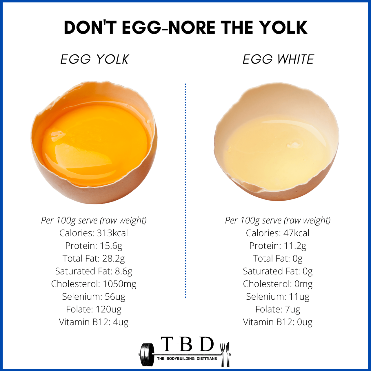 1 Cup of Egg White Nutrition Facts